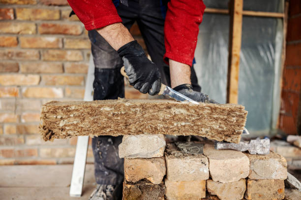 Best Insulation Replacement Services  in West Athens, CA